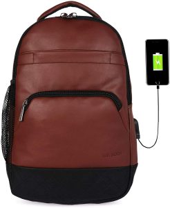 Fur Jaden 15.6 Inch Laptop Backpack Bag with USB Charging Port