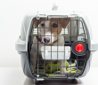 Top 9 Pet Carriers For Pet's Safety, The Reviews And Buyers’ Guide