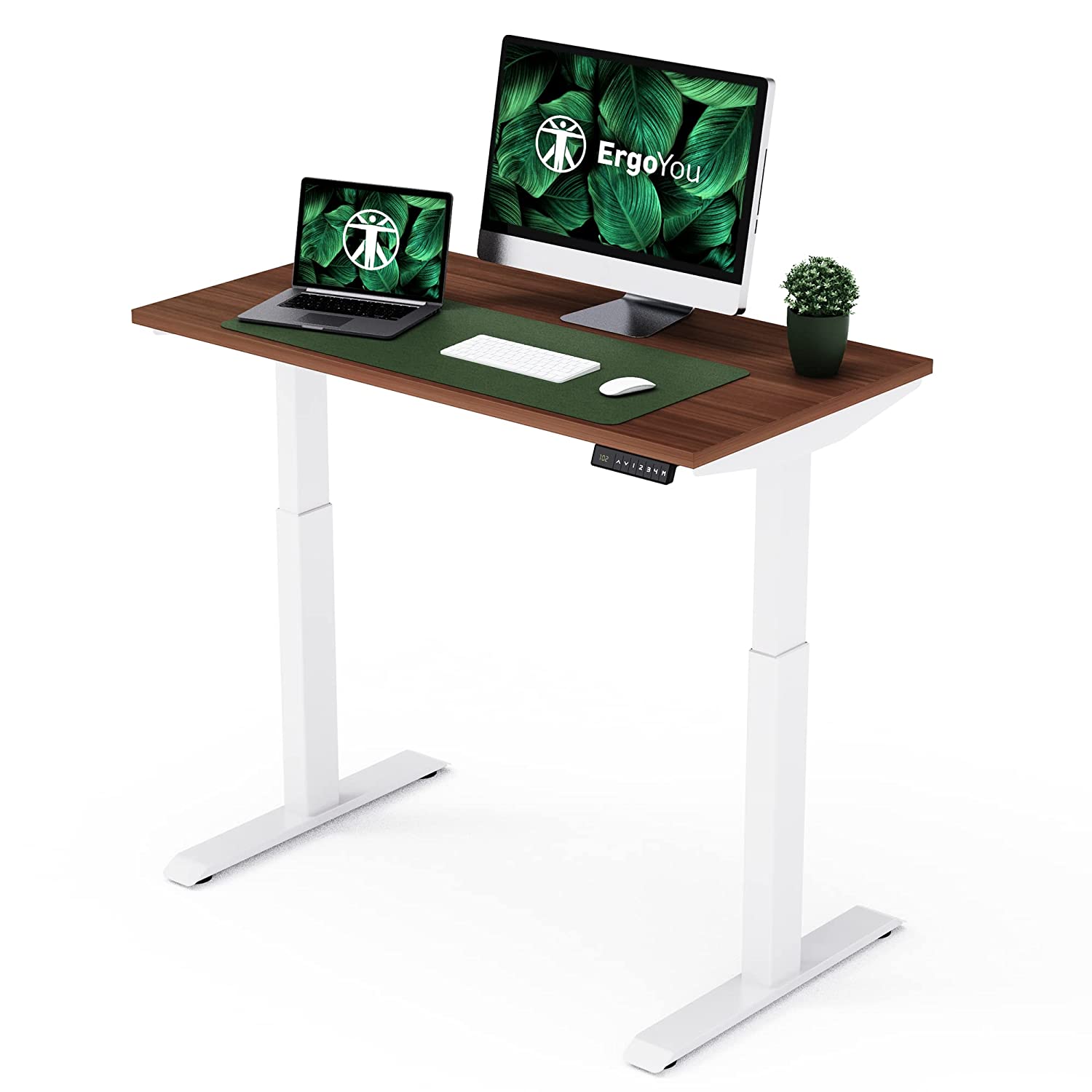 ErgoYou - Electric Height Adjustable Table 47 X 23.5 Inches - Dual Motor 2 Stage - Ergonomic Sit Stand Computer Electric work desk - Imported (Walnut Laminate Table Top/White Frame